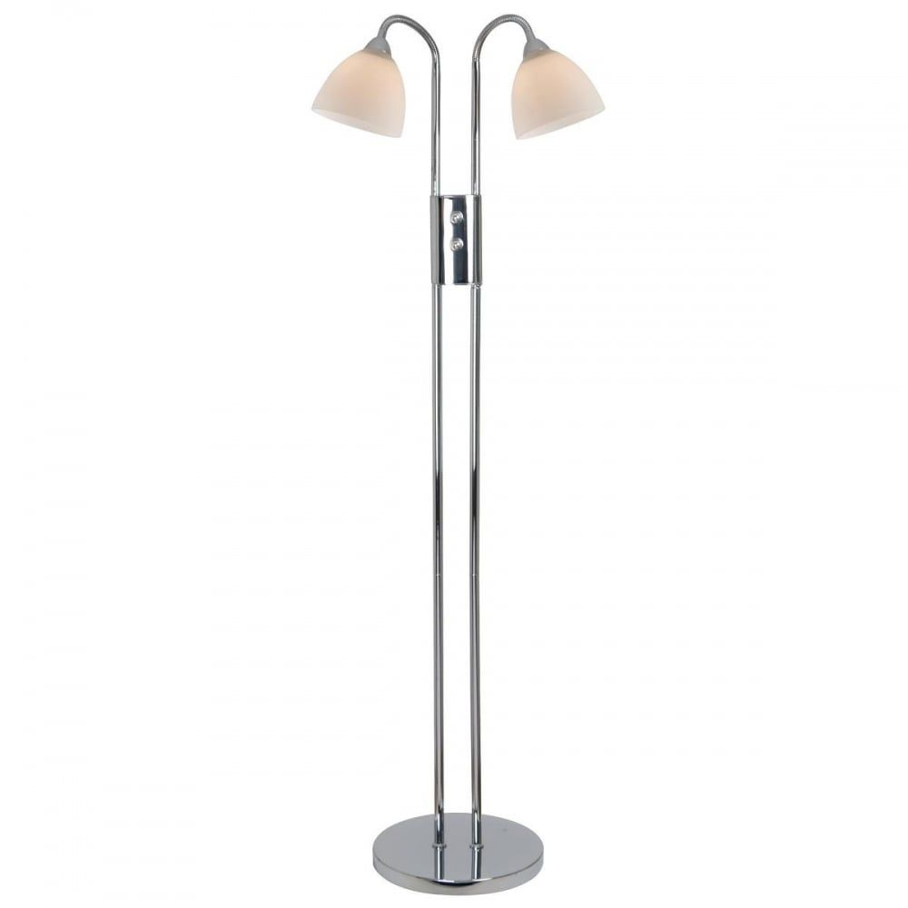 Two Head Floor Lamp Gooseneck Floor Lamps Reviews in sizing 1000 X 1000