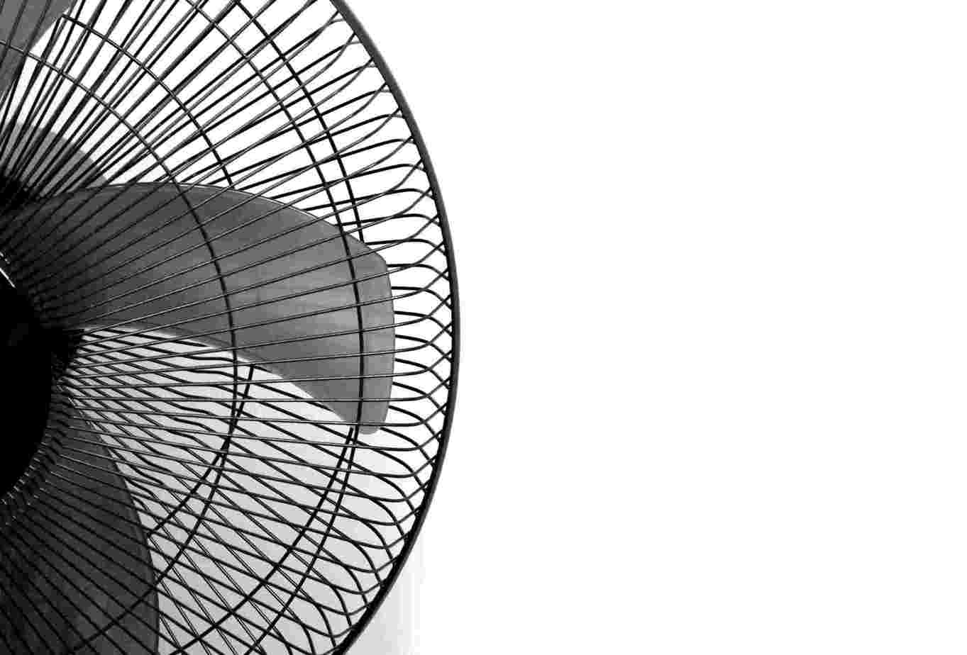 10 Best Pedestal Fans In India In April 2020 in proportions 1363 X 924