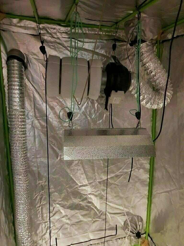 12m Grow Tent Full Set Up 6inch Rhino Carbon Filter Intake Fan Ducting 600w Lights Ballast In Northampton Northamptonshire Gumtree inside measurements 768 X 1024