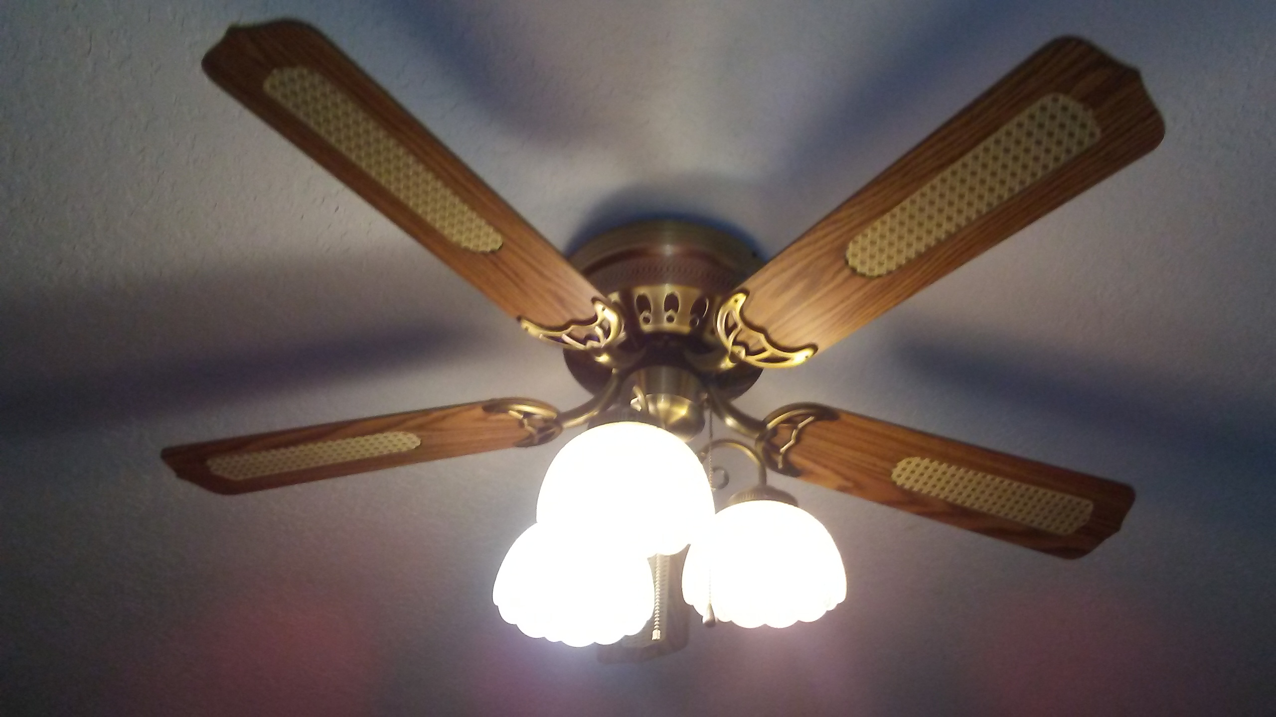 42 Litex Close Up Ceiling Fan At My Nephews House pertaining to sizing 2560 X 1440