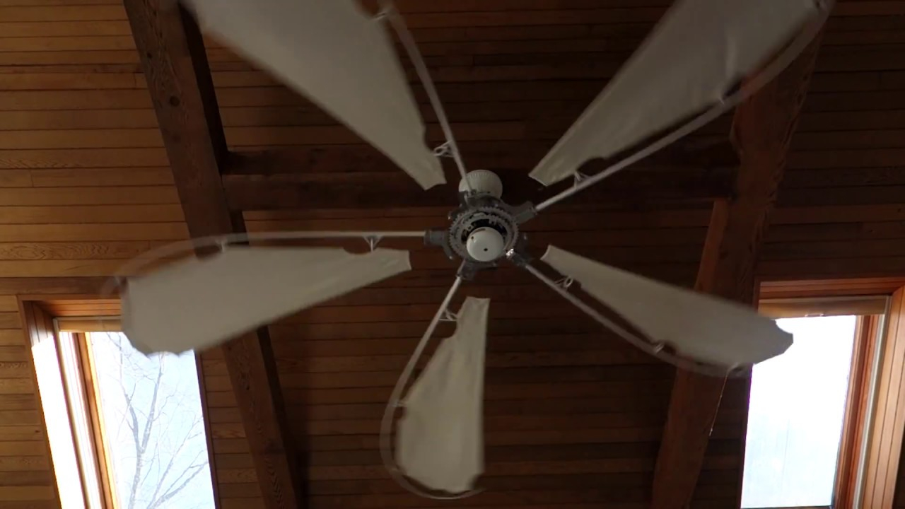 5 Minutes Of Ceiling Fan For Babies for proportions 1280 X 720