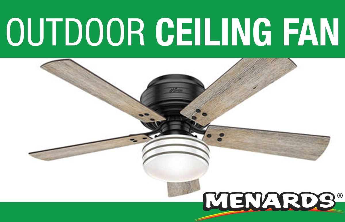 55 Best Fantastic Fans Images In 2020 Ceiling Fan within dimensions 1200 X 772