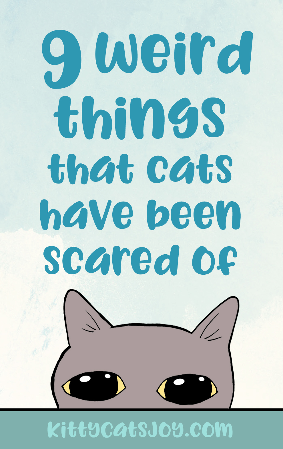 9 Weird Things Cats Have Been Scared Of Kitty Cats Joy in size 990 X 1566
