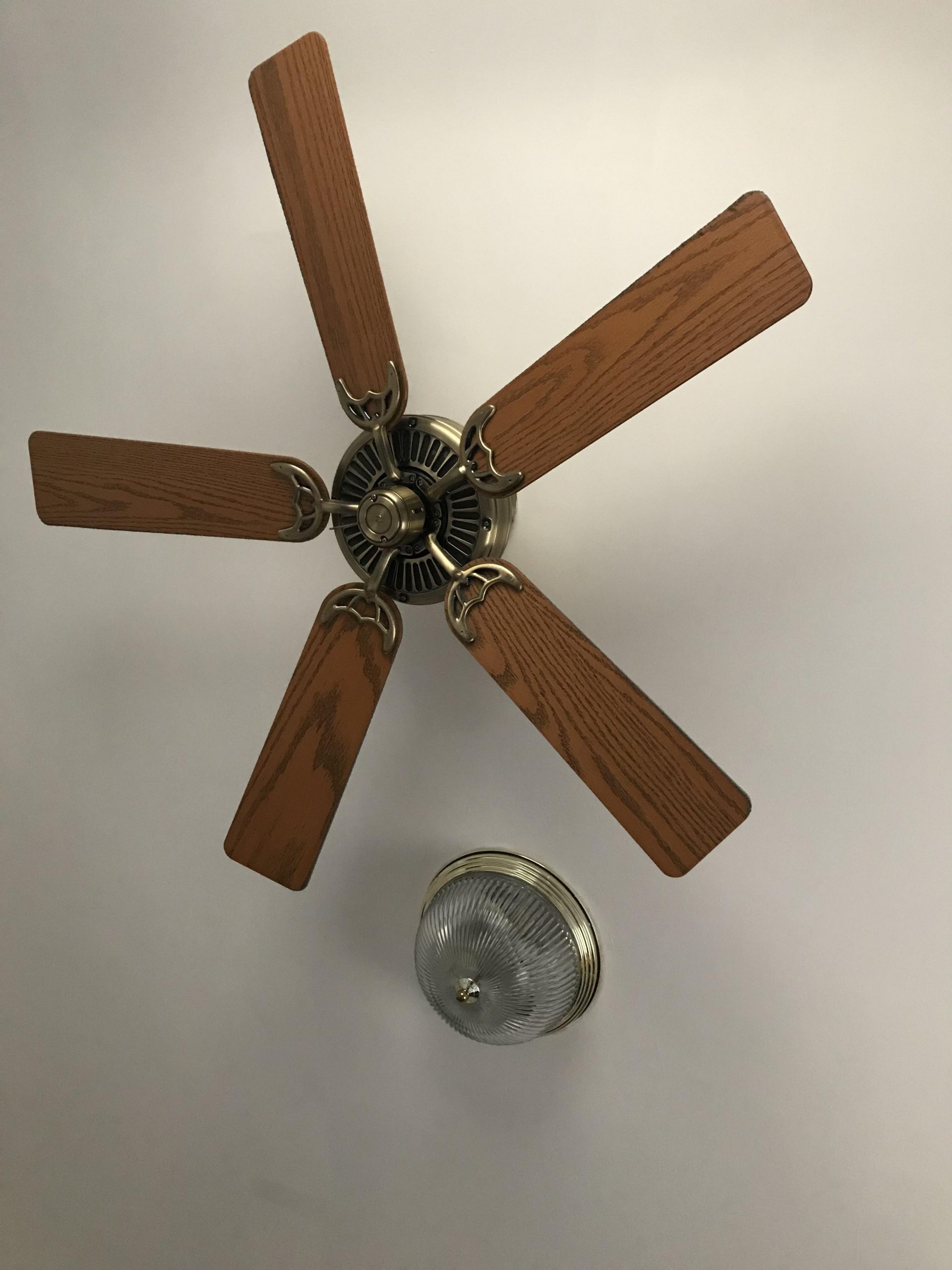 A Fan And Separate Light And When Theyre Both Turned On inside sizing 3024 X 4032