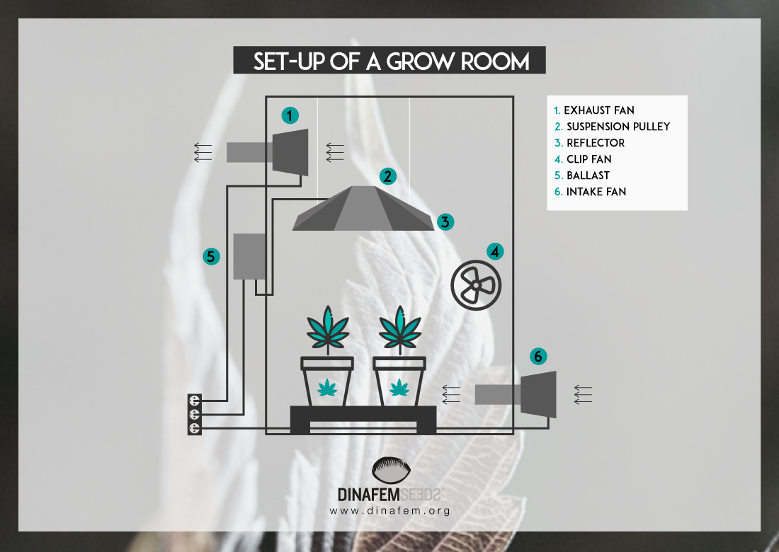 Air Circulation For Cannabis Growing for sizing 1100 X 780