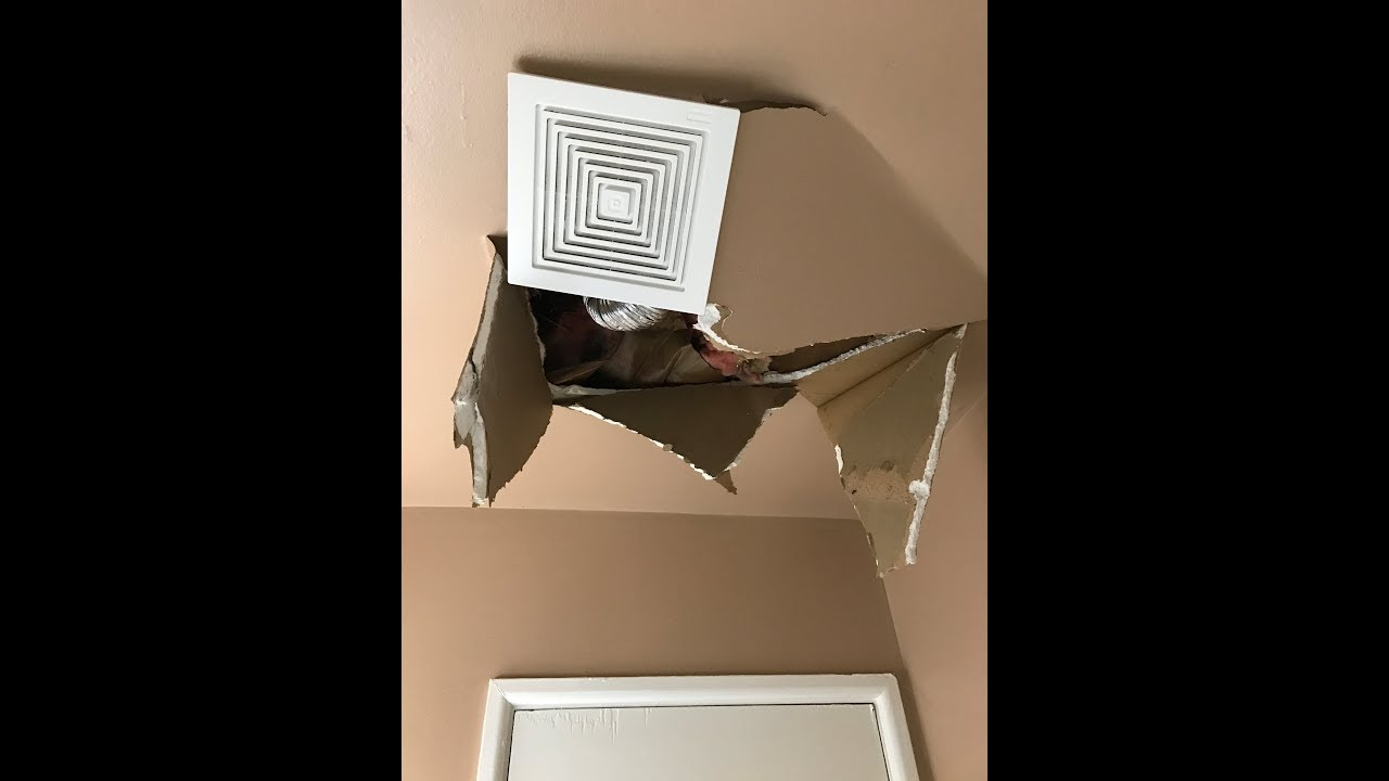 Bathroom Ceiling Repair And Ventilation Fan Installation inside proportions 1280 X 720