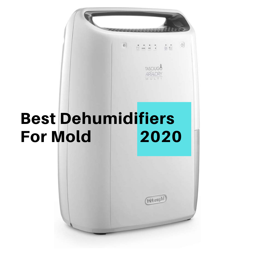 Best Dehumidifier For Mold 2020 Best Dehumidifier 2020 inside dimensions 1000 X 1000
