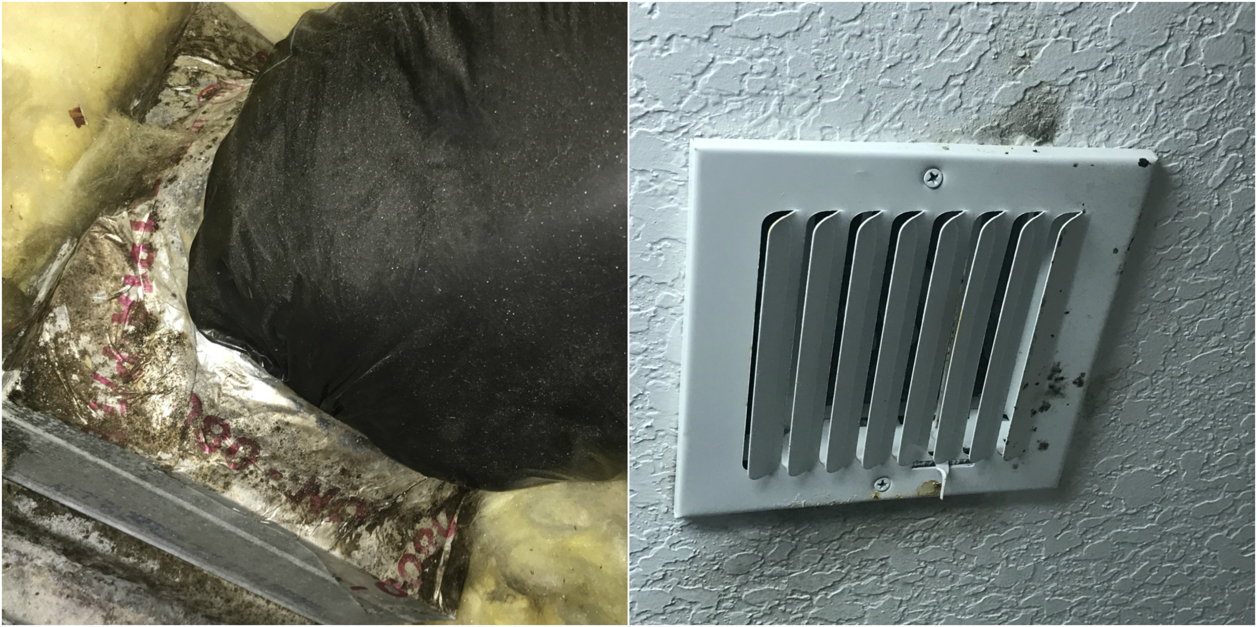 Black Growth On Ac Vents Makes House Sick Mammoth Restoration pertaining to measurements 3994 X 1994