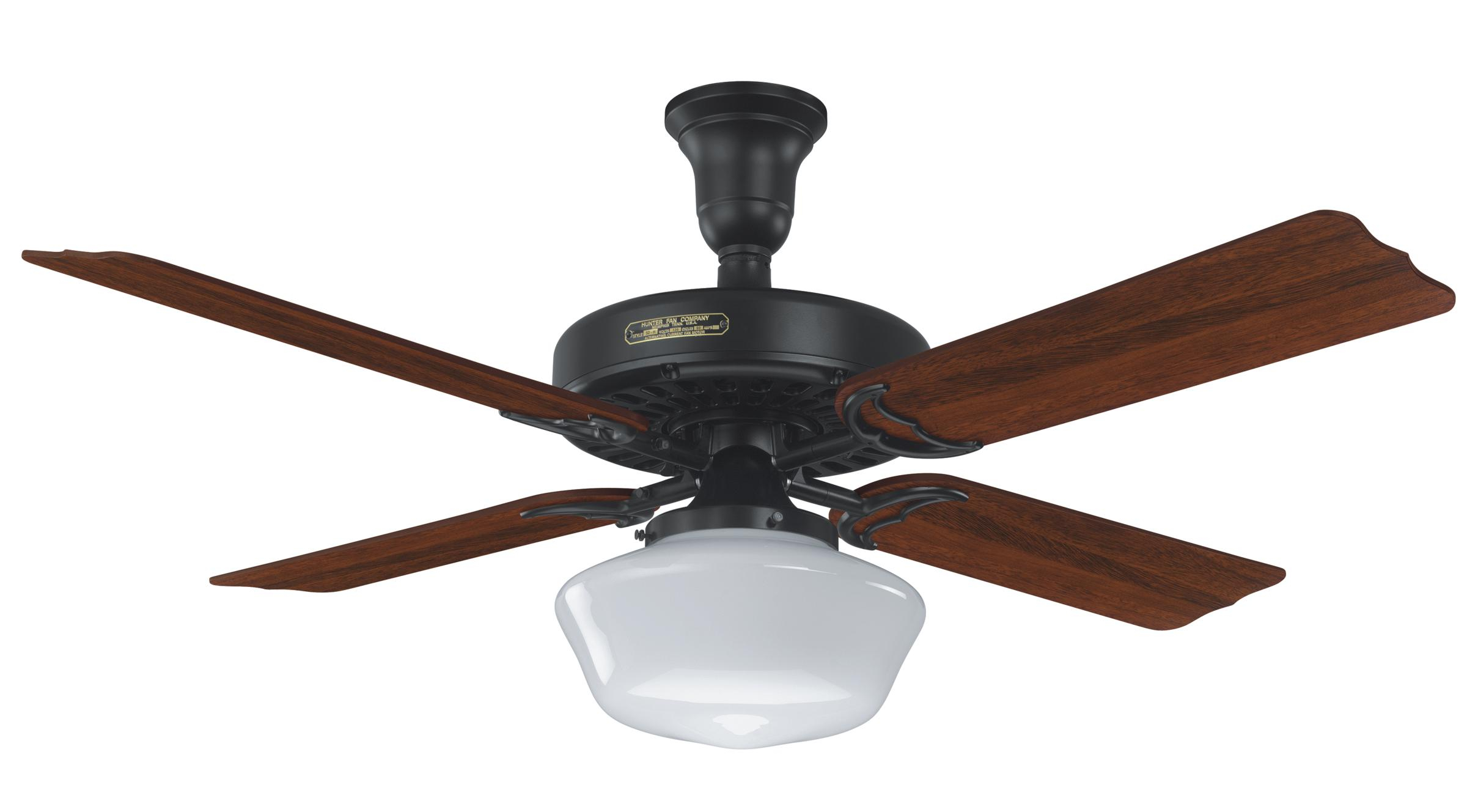 Ceiling Fan Globes Belezaa Decorations From Best Ceiling within measurements 2400 X 1328