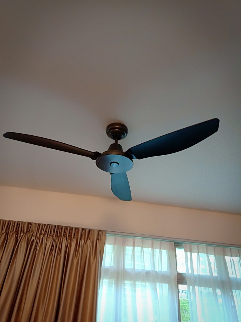 Ceiling Fan inside sizing 810 X 1080