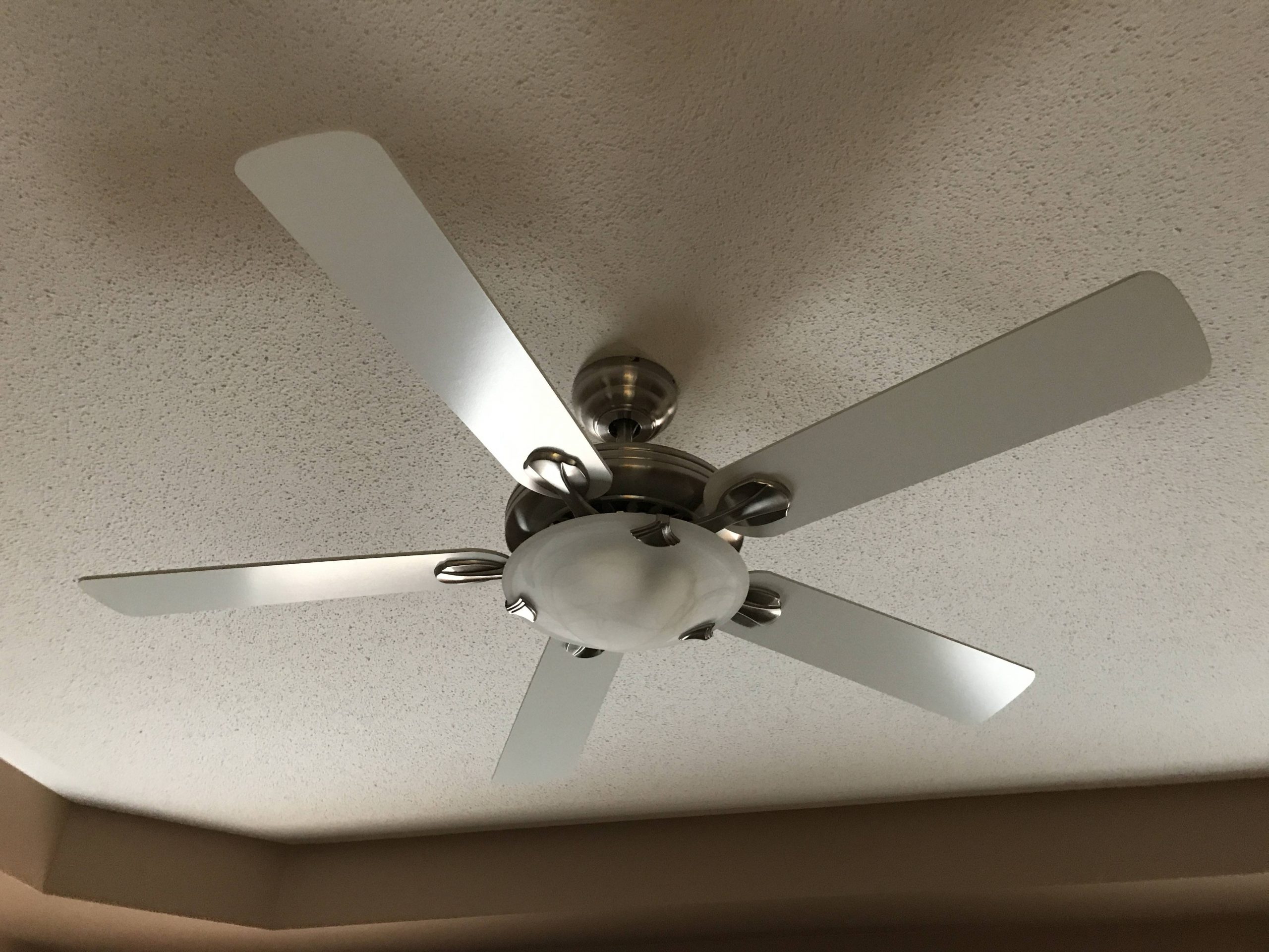 Ceiling Fan Needs Lightbulb E75795 Model Ac 552 The Home within dimensions 4032 X 3024