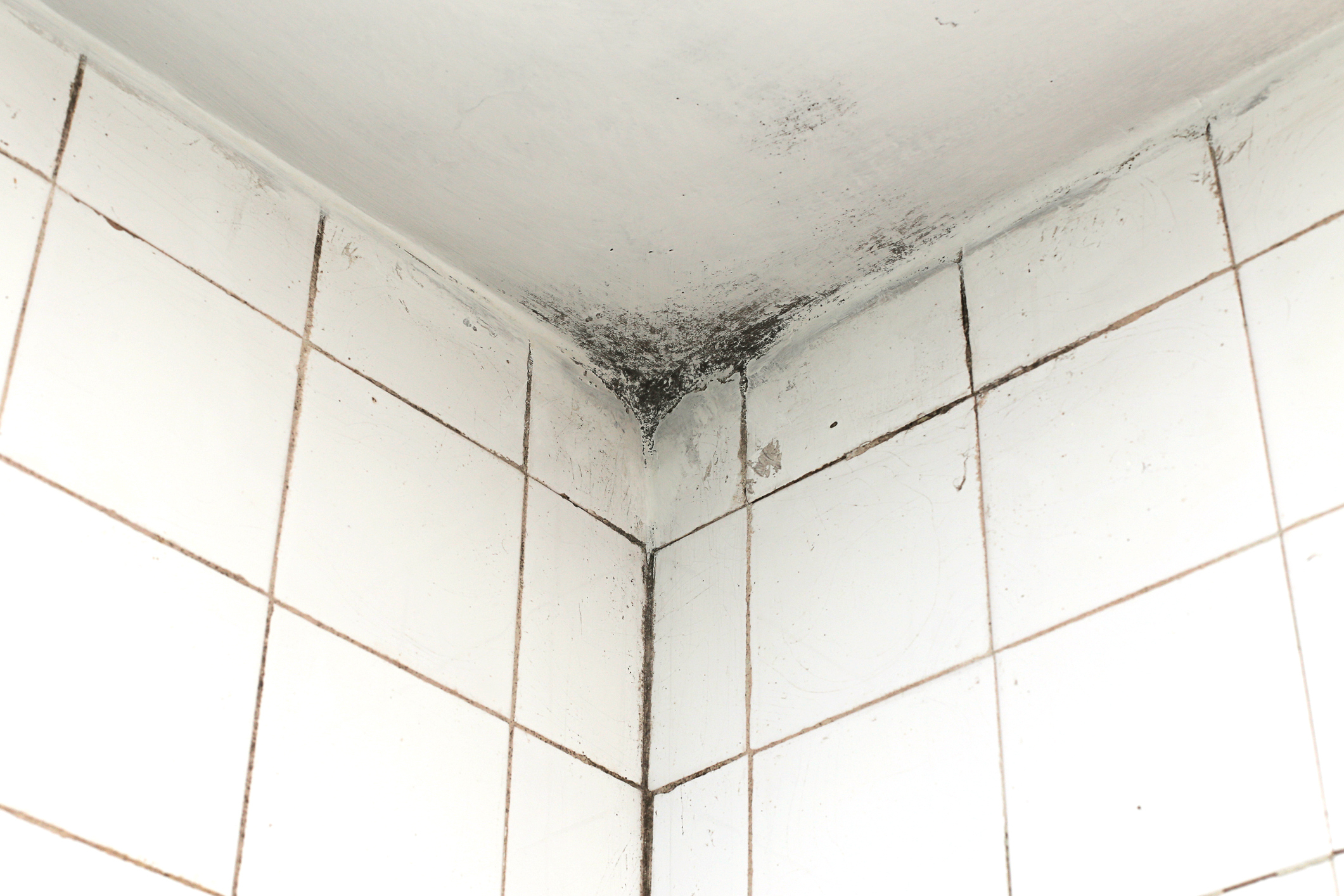 Cleaning Mold From Bathroom Ceilings Lovetoknow inside dimensions 2121 X 1414