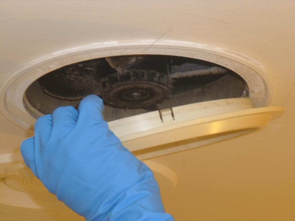 Cleaning The Cover Fascia Of A Bathroom Exhaust Fan inside dimensions 1024 X 768