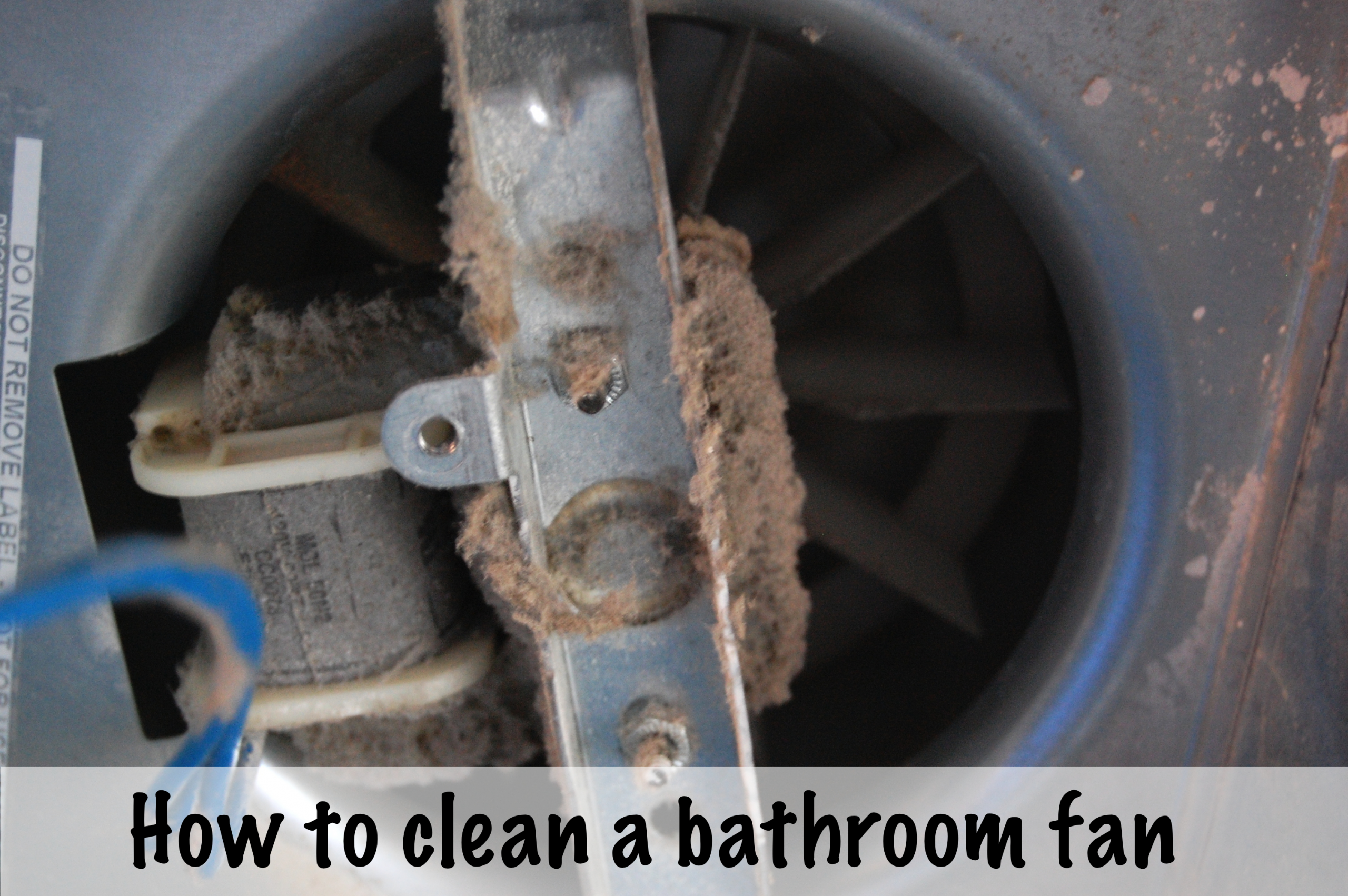 Cleaning Your Bathroom Fan With A Light Bathroom Exhaust throughout size 3008 X 2000