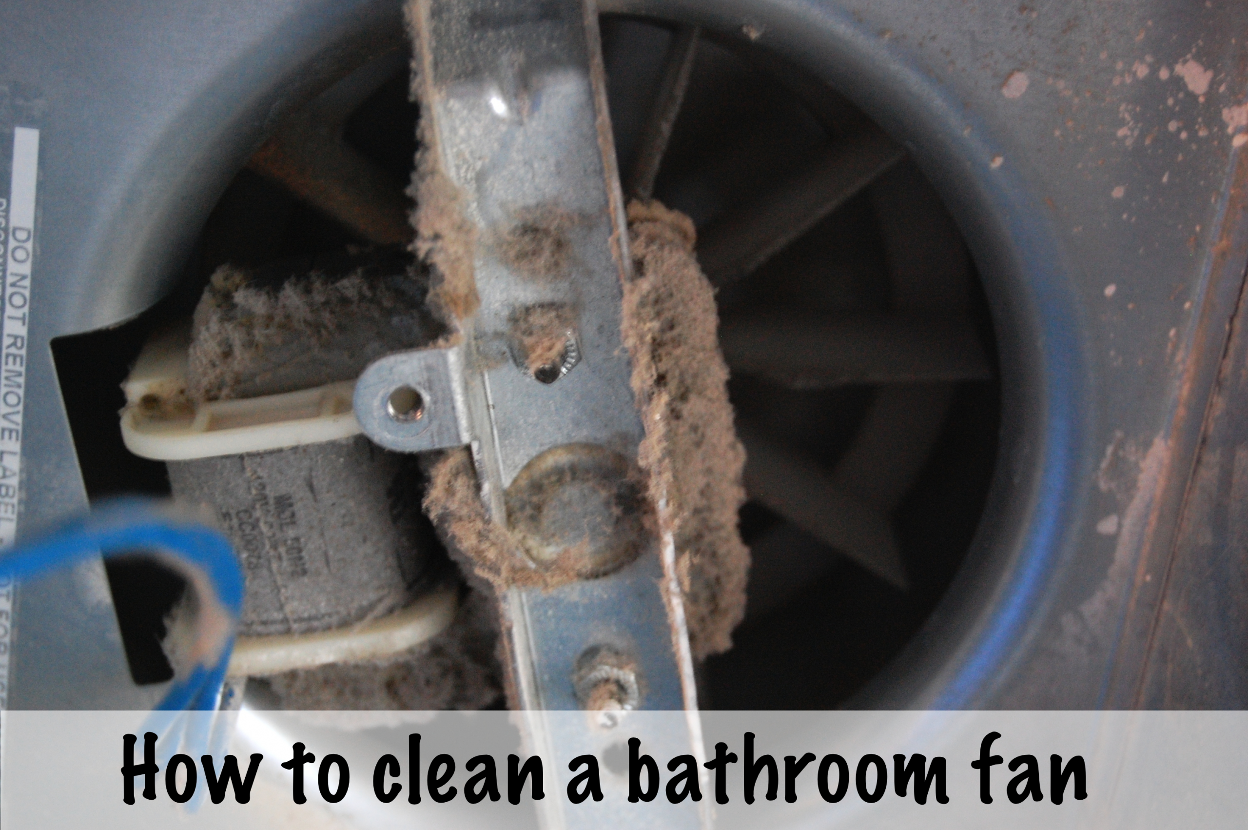Cleaning Your Bathroom Fan With A Light Diy Project Aholic intended for sizing 3008 X 2000