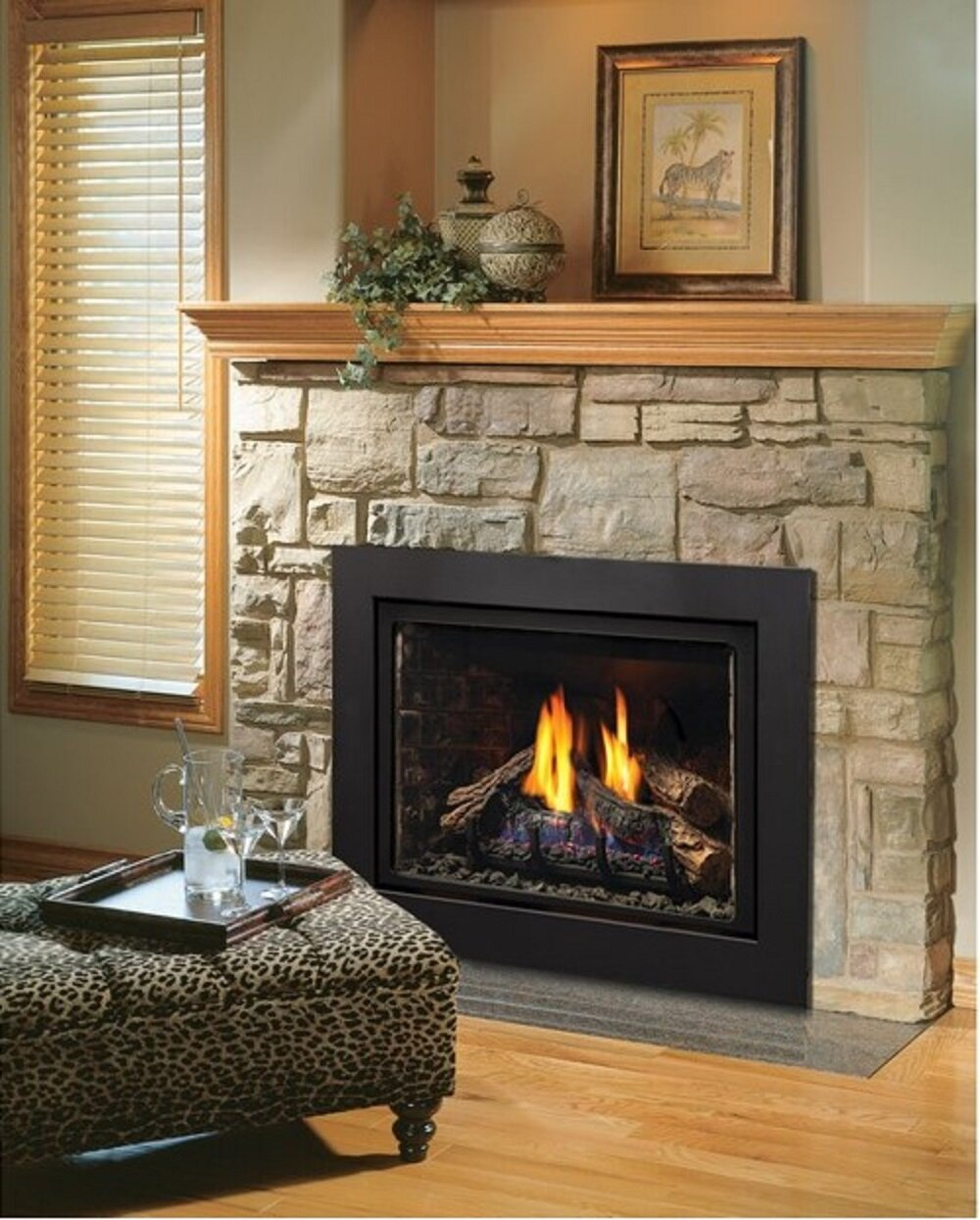 Direct Vent Natural Gaspropane Fireplace Insert for size 1000 X 1245