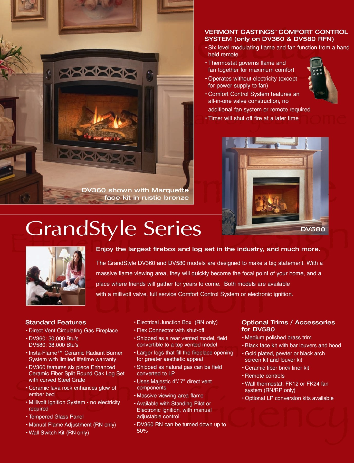 Dv360 Dv580 Fireplaces Mario Sales Service And pertaining to proportions 1379 X 1800