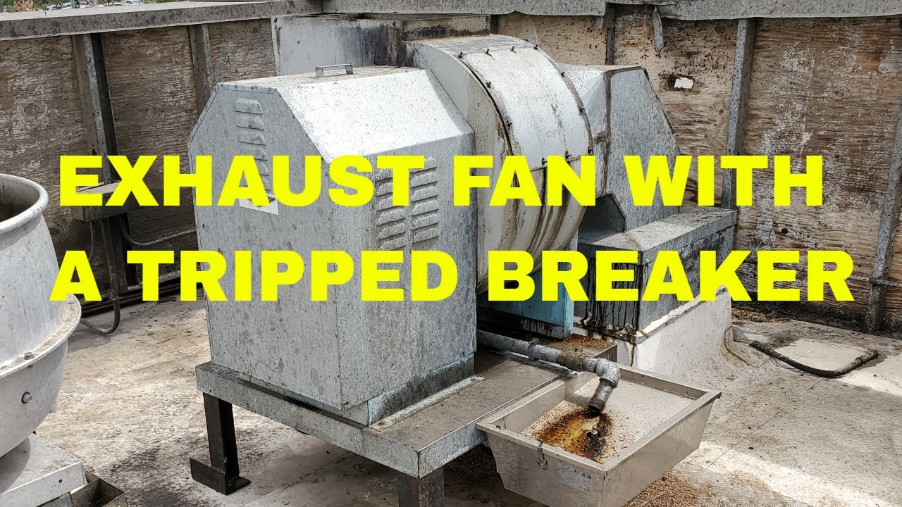 Exhaust Fan With A Tripped Breaker throughout sizing 1280 X 720