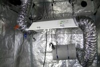 Filean Hps Grow Light In Grow Tent With Carbon Filter And regarding size 1024 X 768