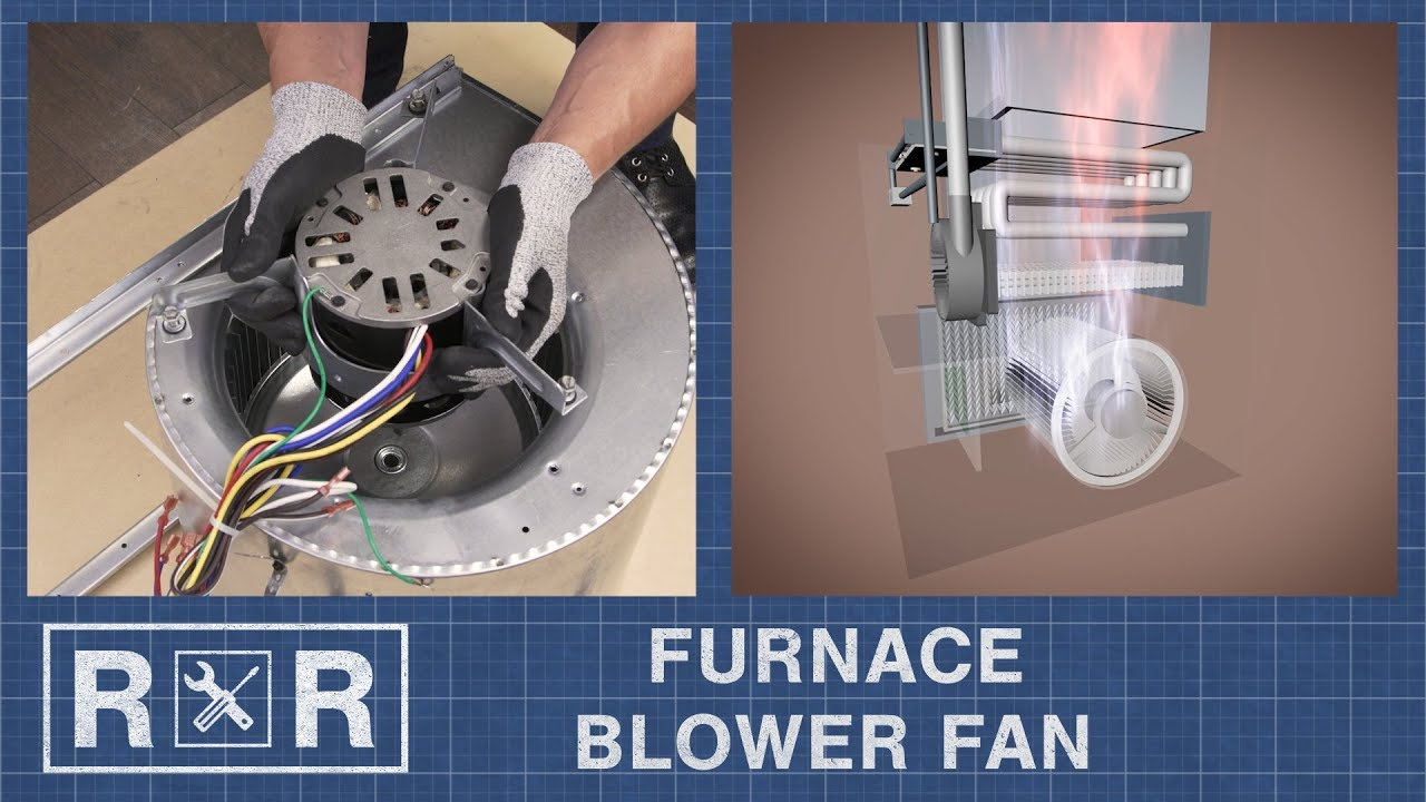 Furnace Blower Fan Repair And Replace regarding proportions 1280 X 720