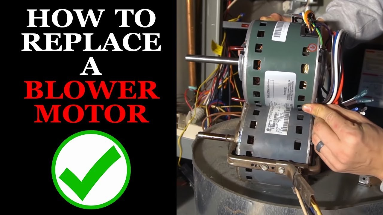 Furnaceac Blower Motor Replacement regarding sizing 1280 X 720