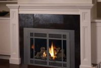 Gas Fireplace Inserts Fireplace Xtrordinair Manualzz with regard to size 791 X 1024