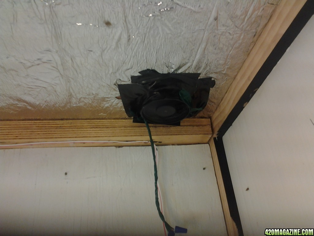 Having Ventilation Issues First Time Grow Box Need Some pertaining to proportions 1024 X 768