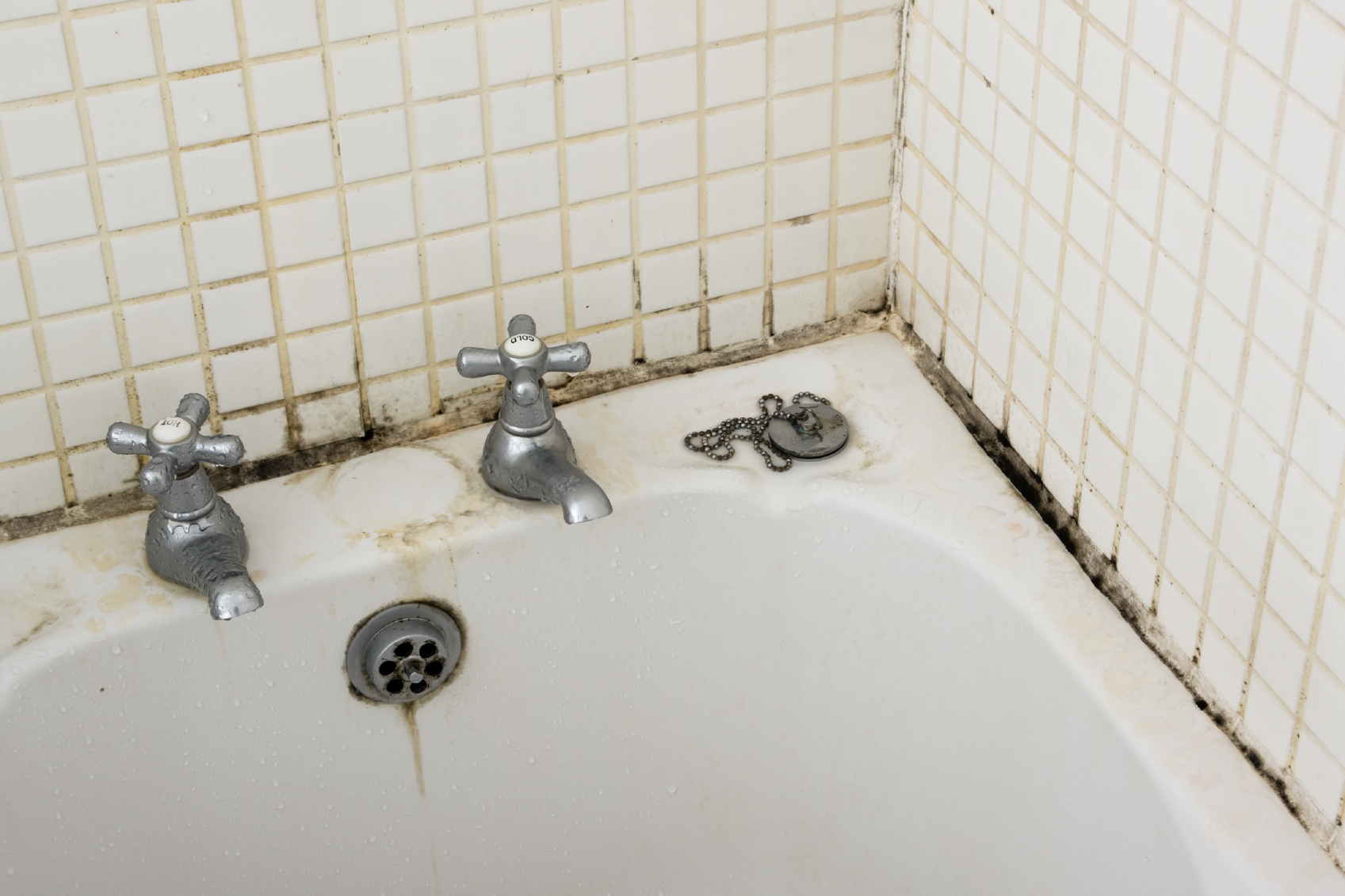 I Found Mold In My Shower Bathtub Is It Black Mold regarding proportions 1697 X 1131