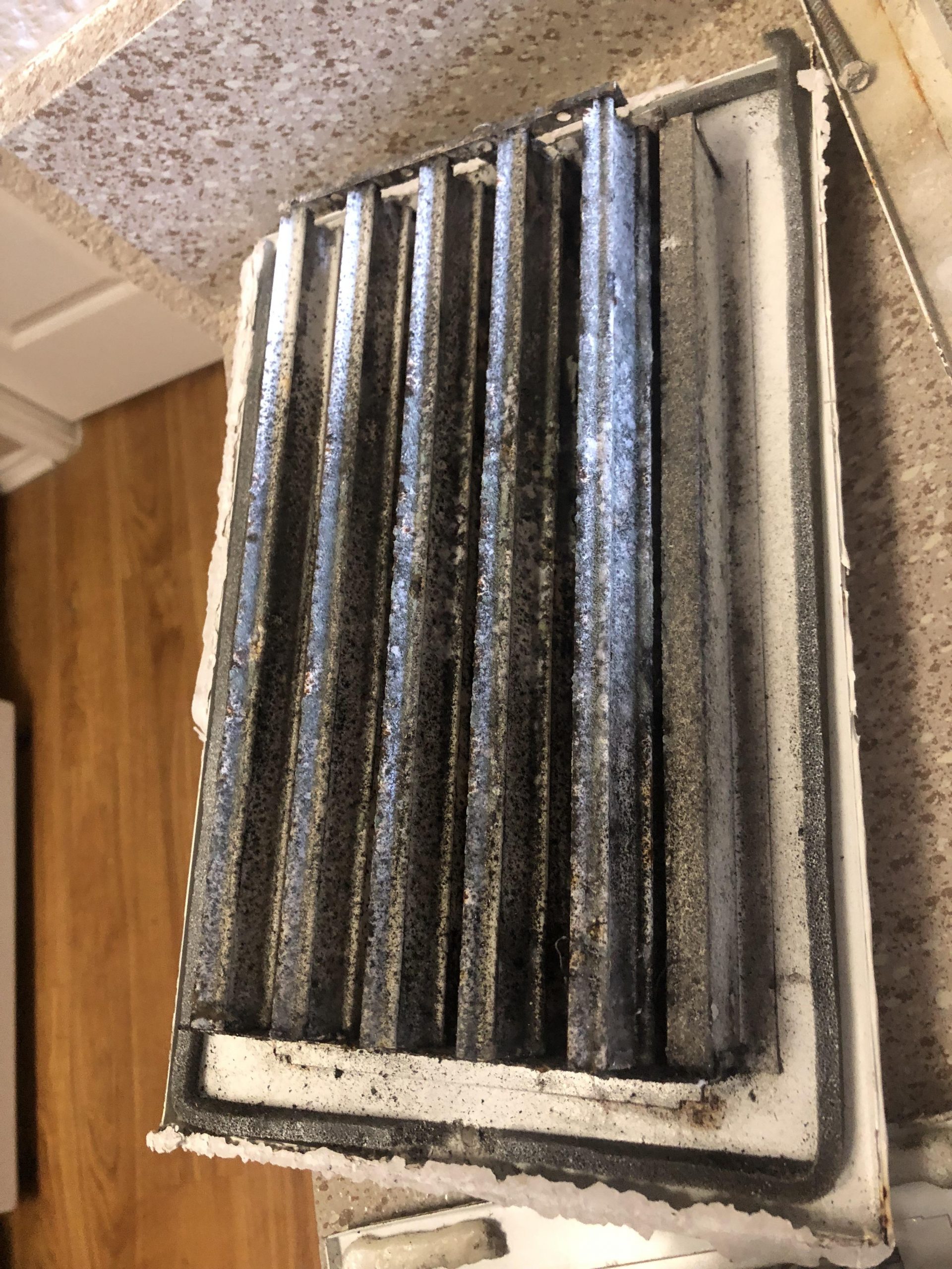 Is This Toxic Mold Noticed Black Stuff Growing Towards The with sizing 3024 X 4032