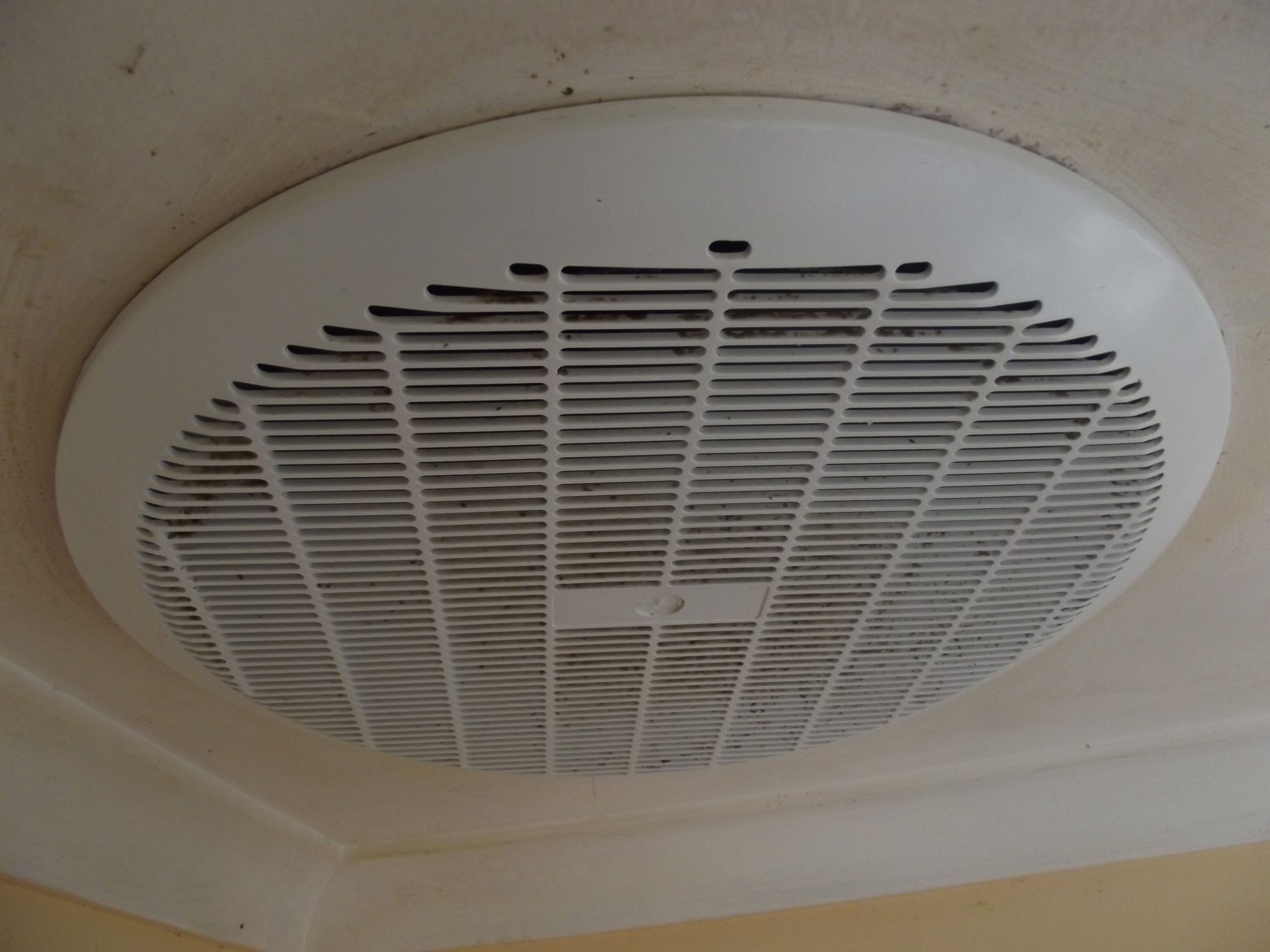 Kitchen Ceiling Exhaust Fans Exhaust Fan Kitchen with regard to proportions 4288 X 3216