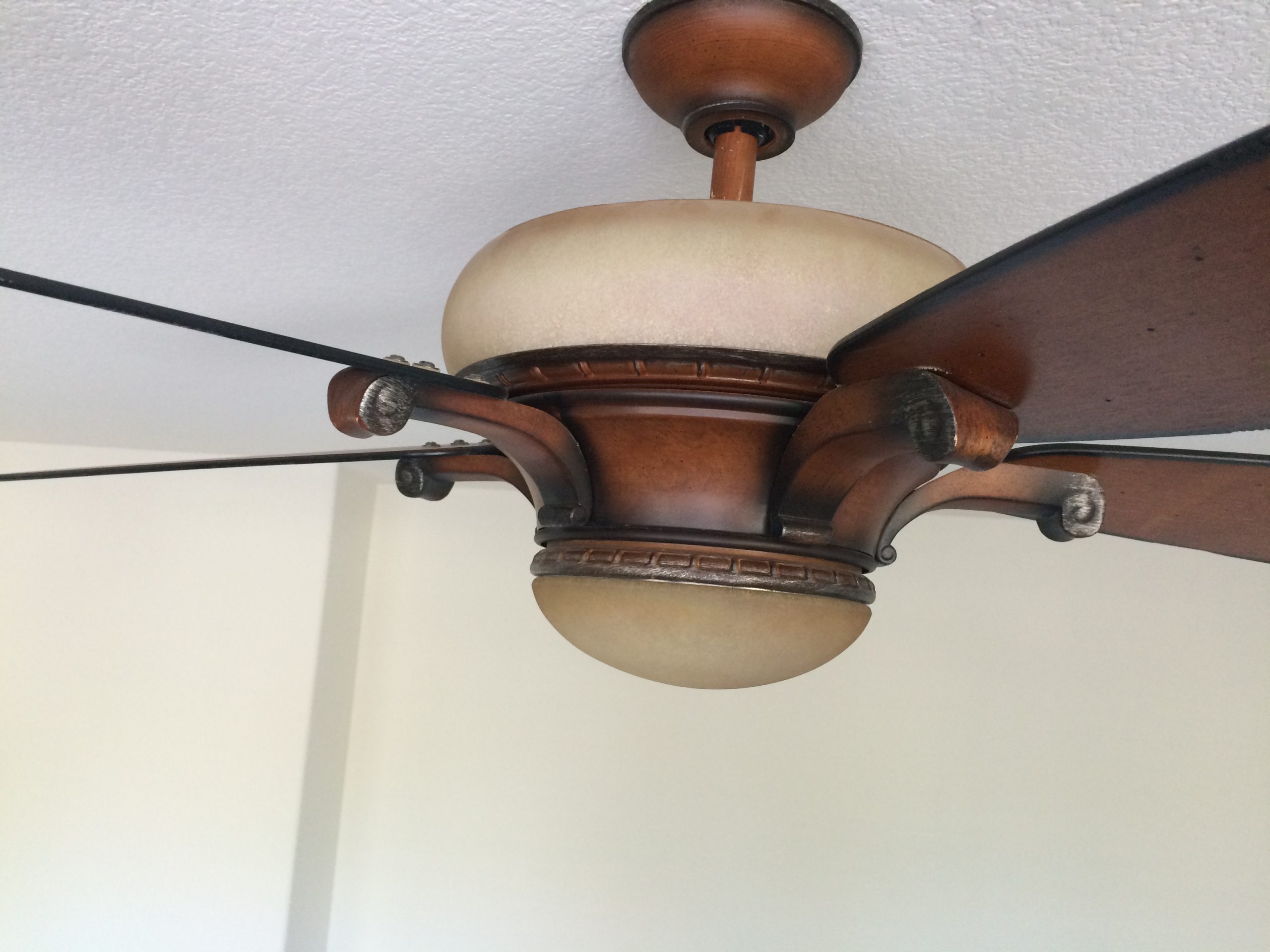 Light Bulb Replacement On Hampton Bay Ceiling Fan The Home within sizing 3264 X 2448