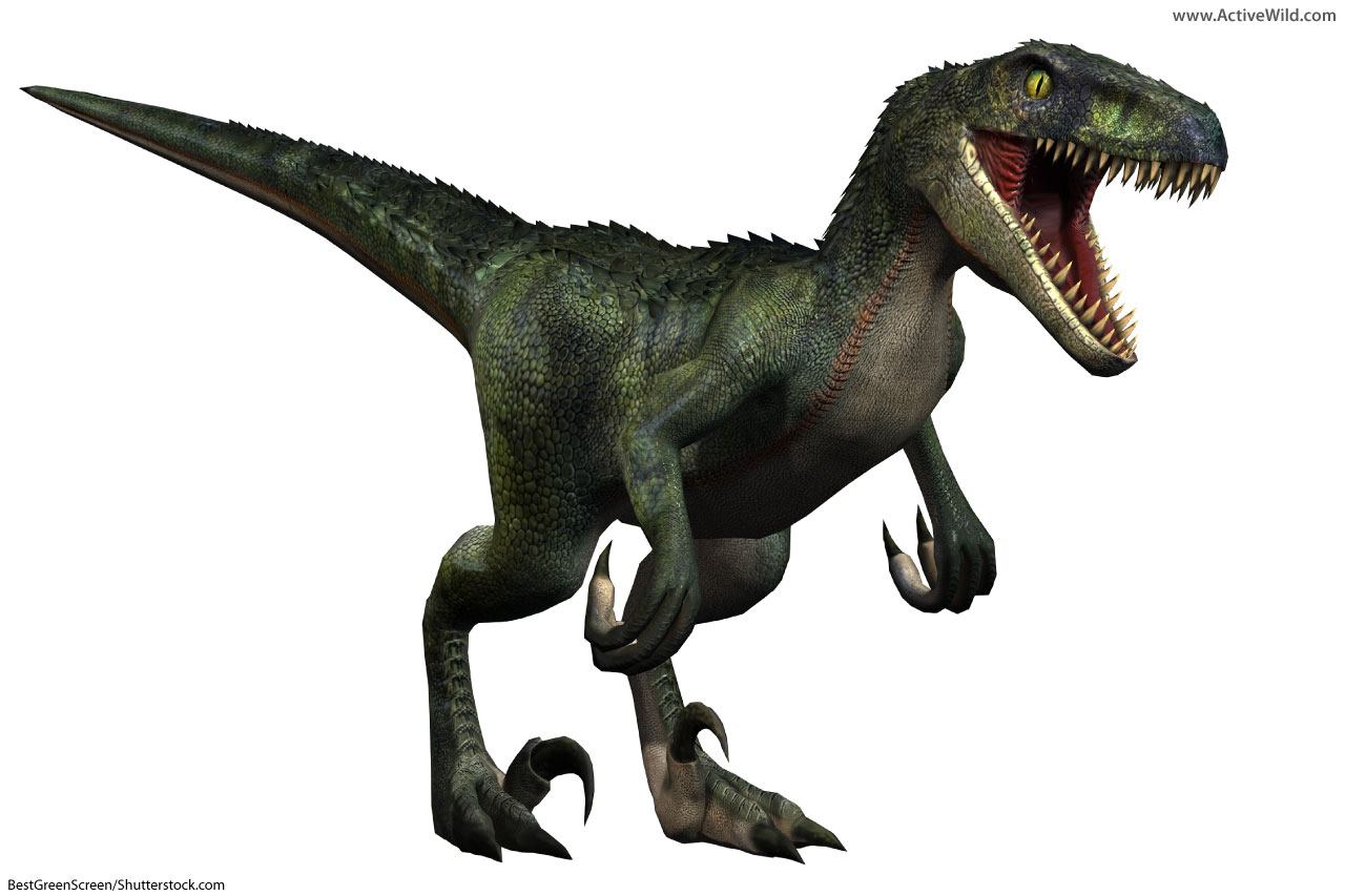 List Of Dinosaurs Dinosaur Names With Pictures Information throughout proportions 1280 X 853