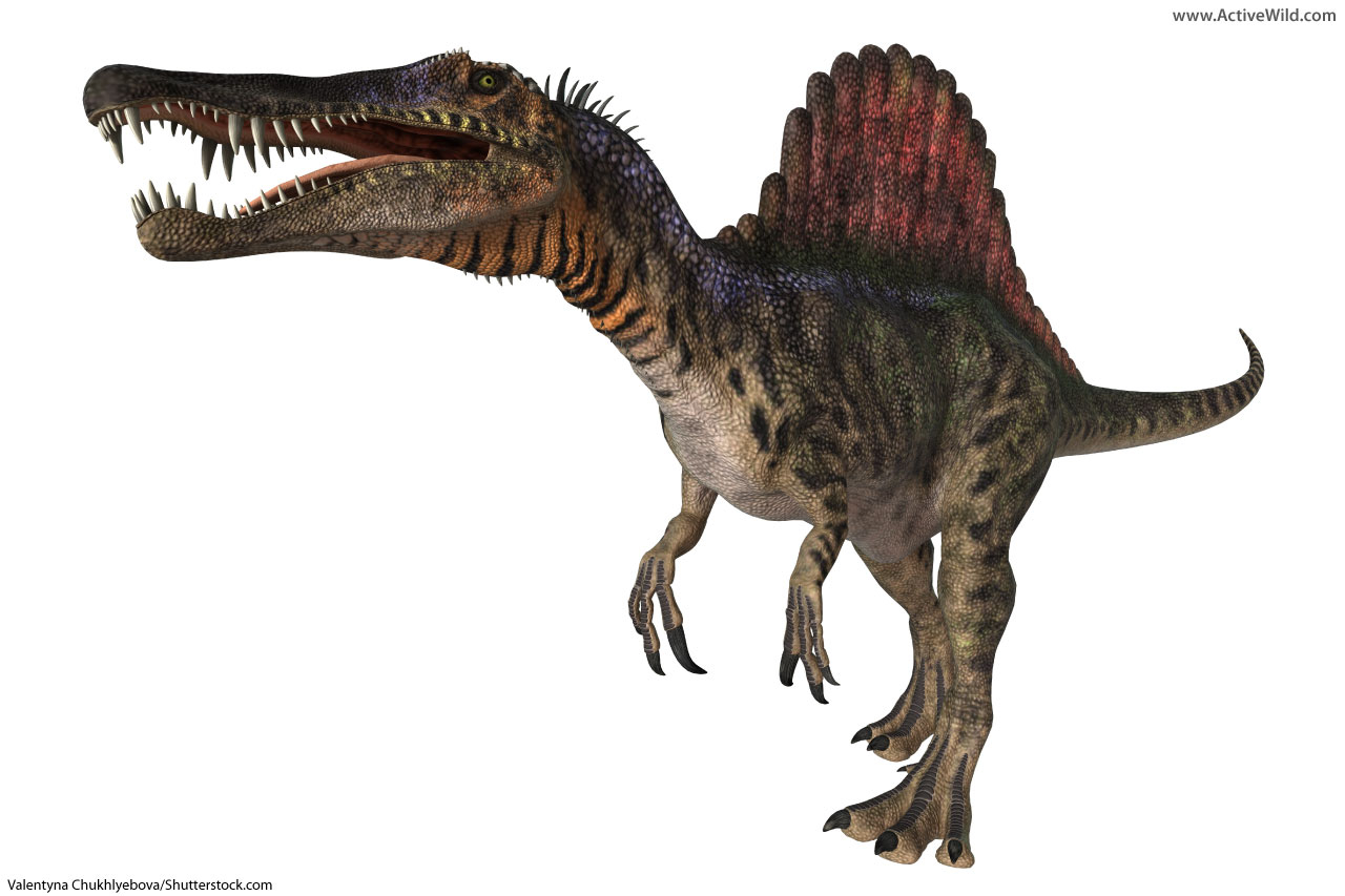 List Of Dinosaurs Dinosaur Names With Pictures Information with proportions 1280 X 853