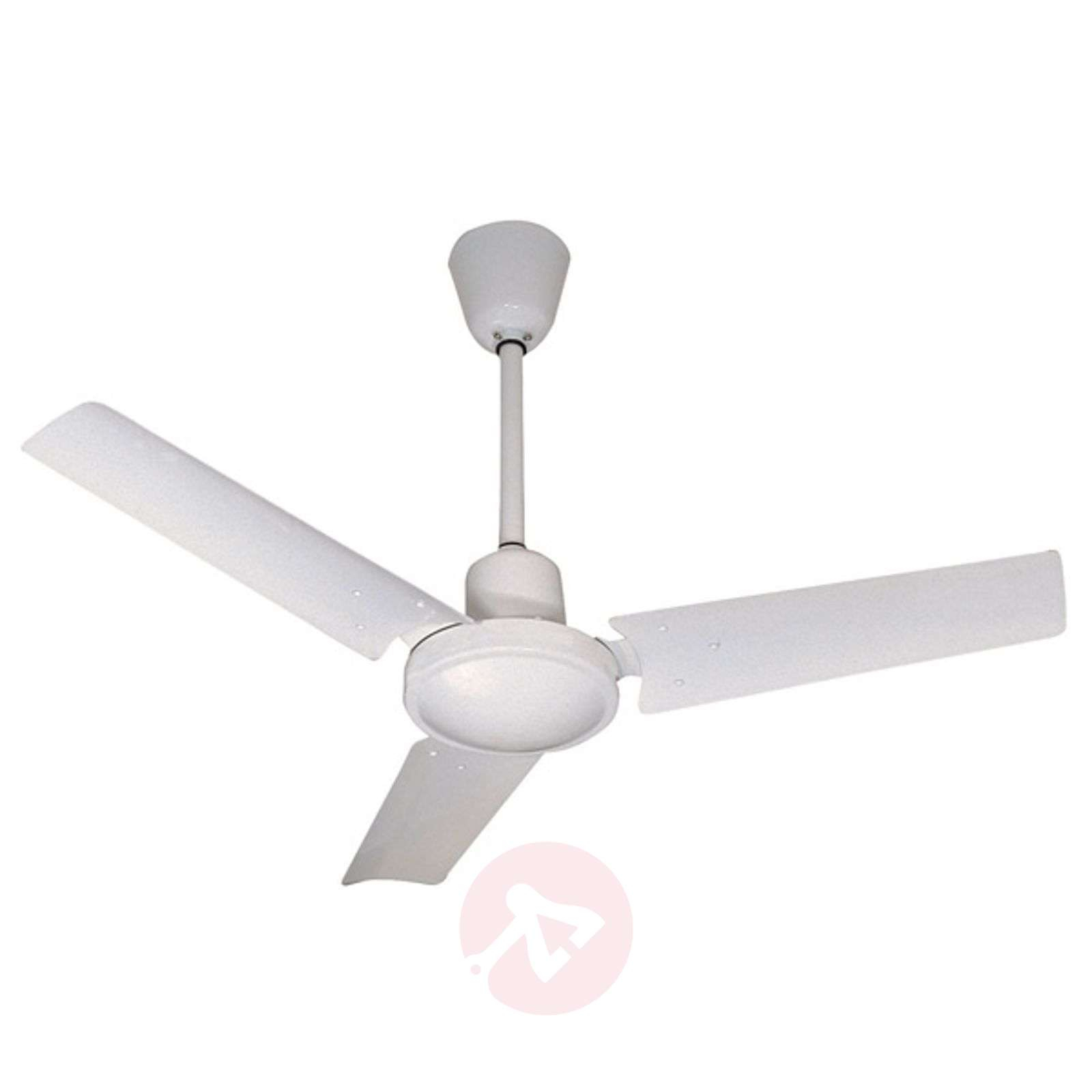 Mini Indus Small Modern Ceiling Fan with regard to measurements 1600 X 1600