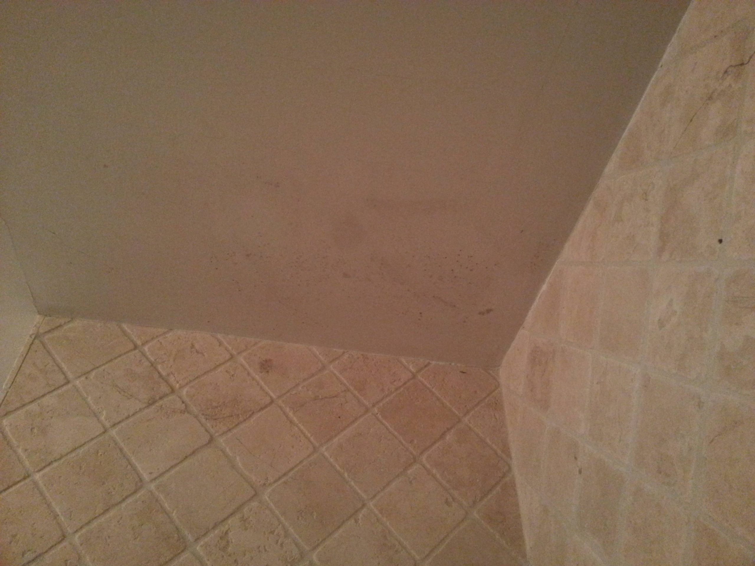 Mold On Ceiling On Flat Paint Home Improvement Stack Exchange with regard to proportions 3264 X 2448