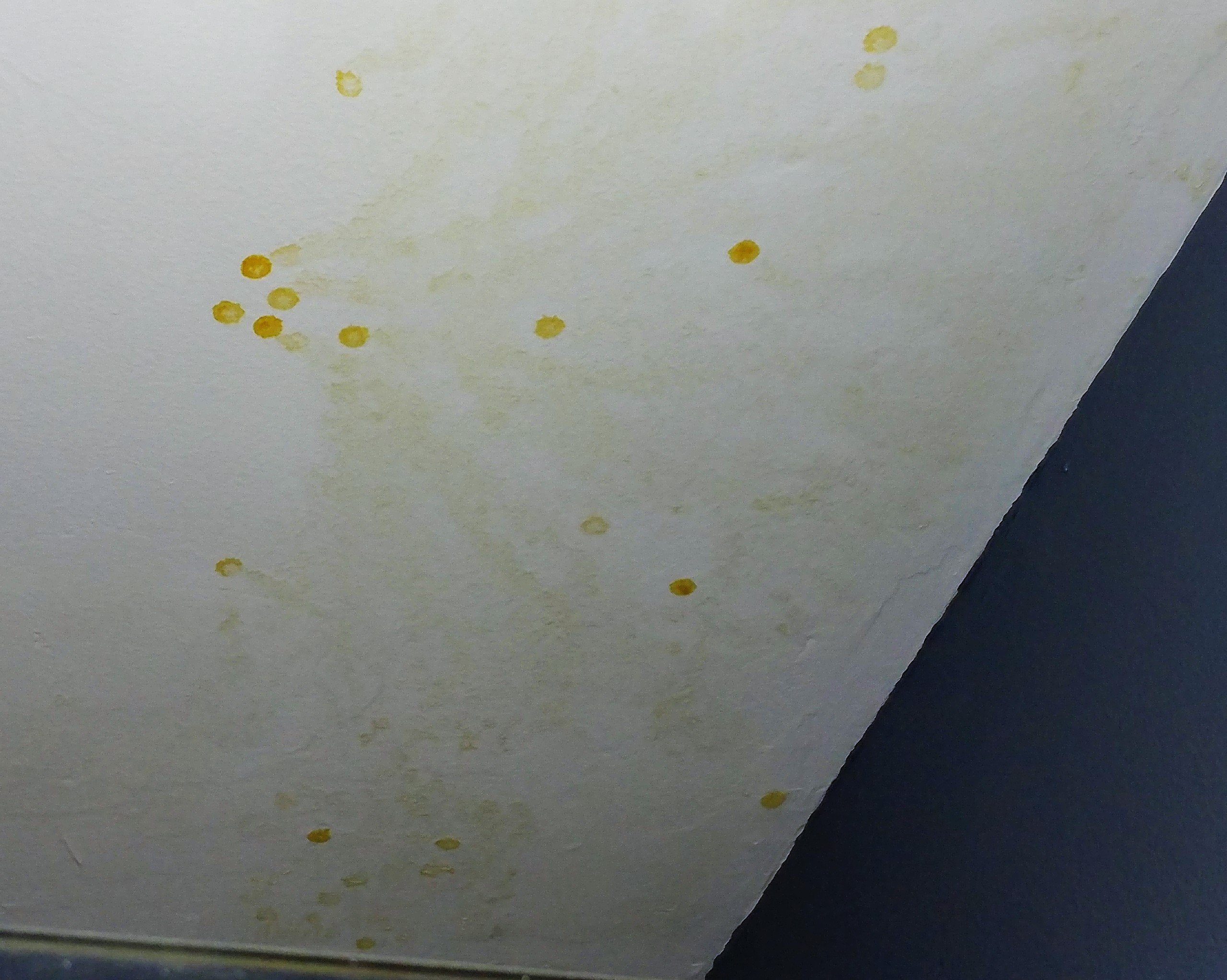 Oily Yellow Spots On Bathroom Ceiling Doityourself within dimensions 2559 X 2045