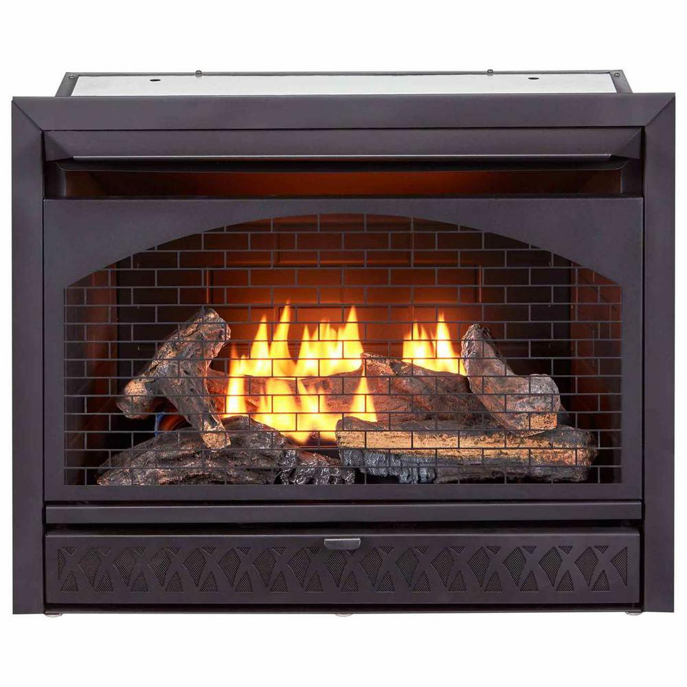 Procom 26000 Btu Vent Free Dual Fuel Propane And Natural Gas Indoor Fireplace Insert With T Stat Control intended for measurements 1000 X 1000