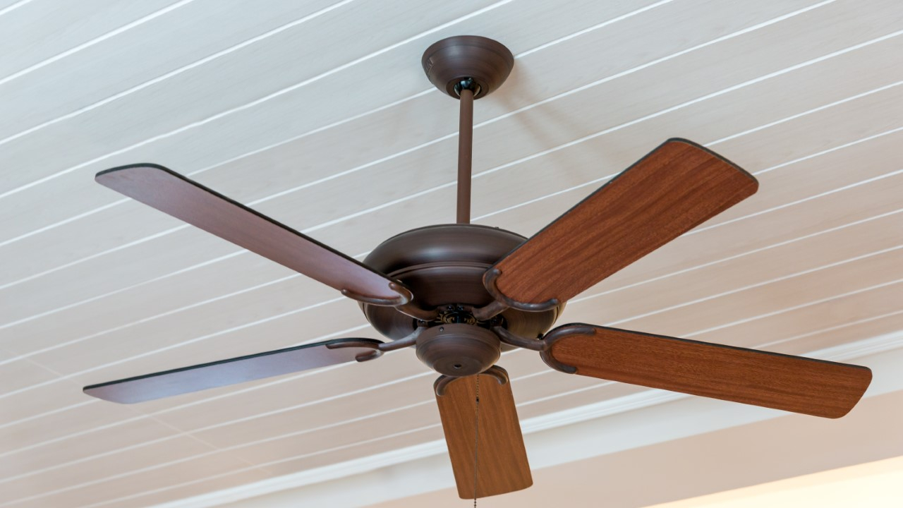 Pros And Cons Of Ac And Dc Ceiling Fans Rovert Lighting inside dimensions 1280 X 720