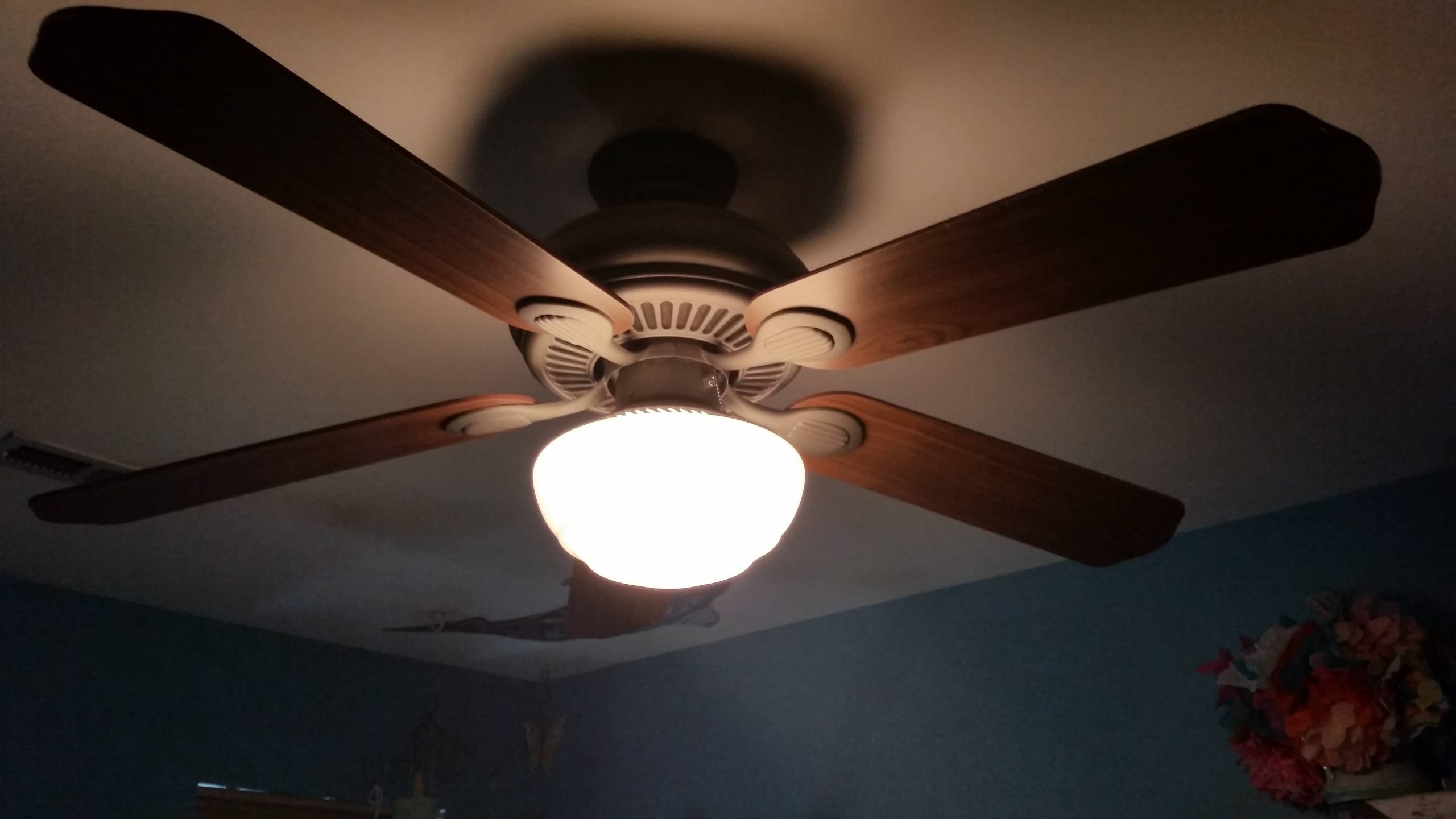 Replacement Globe For Hampton Bay Ceiling Fan The Home with regard to sizing 5312 X 2988