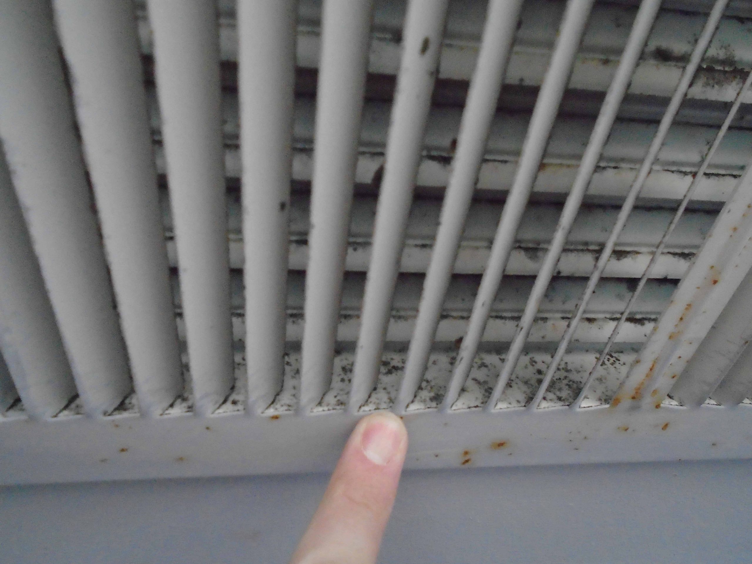 Signs Of Black Mold In Air Vents An Inspectors Guide regarding sizing 5152 X 3864