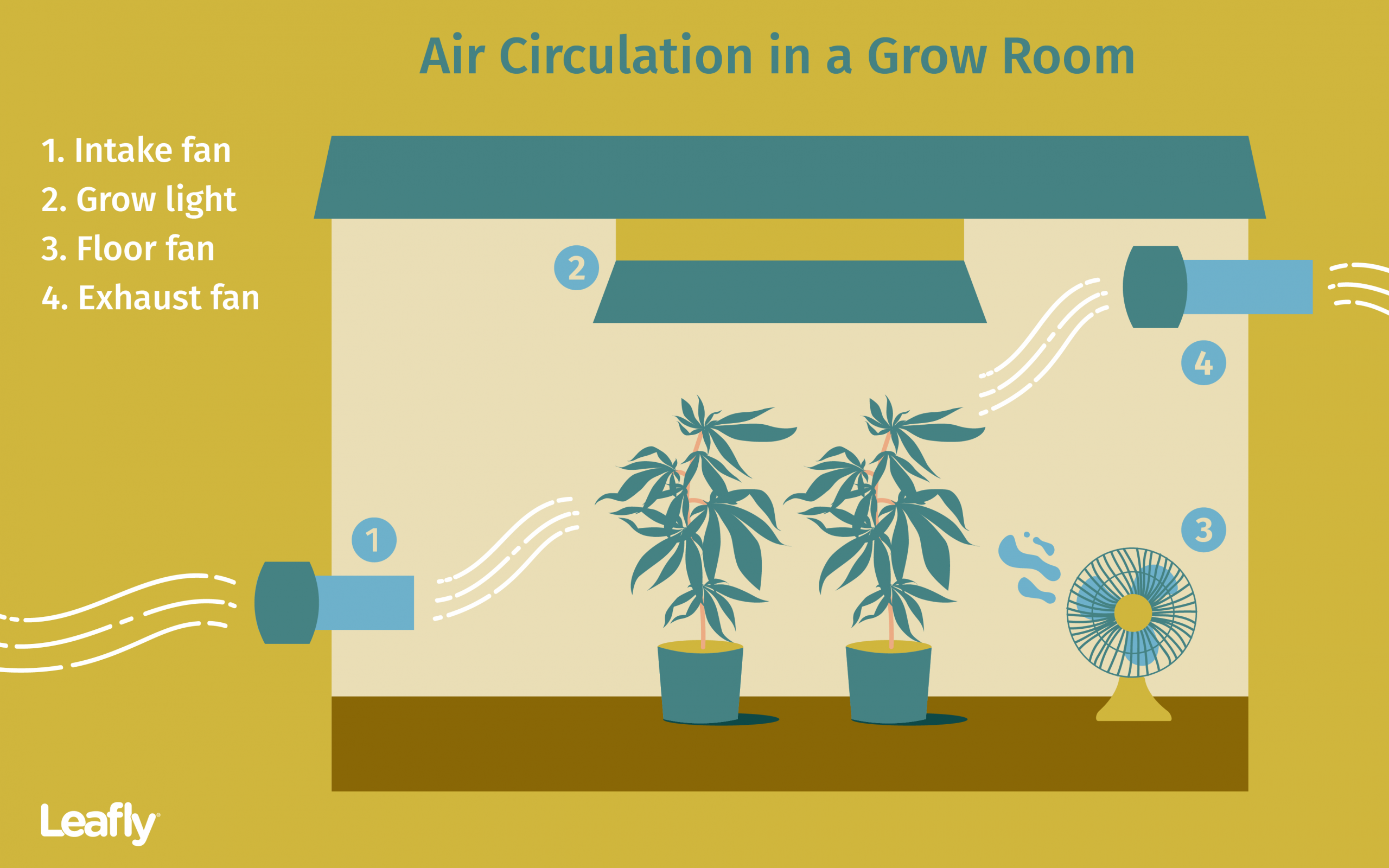 Tips For Improving Air Circulation In Your Cannabis Grow for dimensions 3842 X 2402