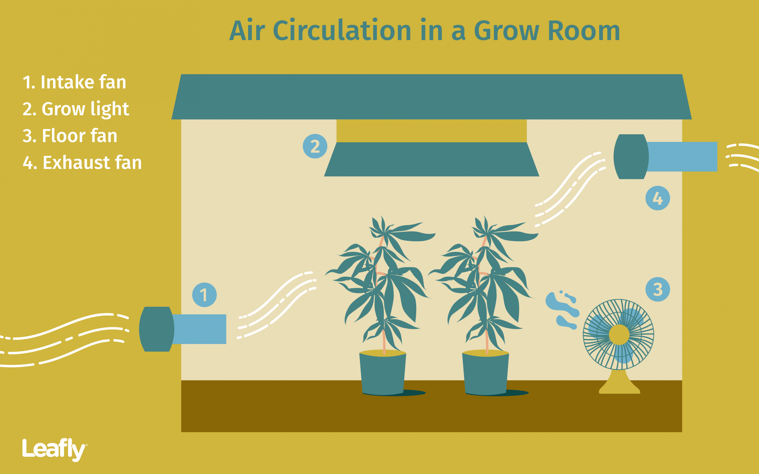 Tips For Improving Air Circulation In Your Cannabis Grow intended for sizing 3842 X 2402