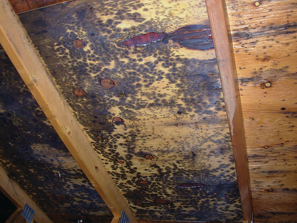 Ventilation Wont Prevent Attic Mold Growth Healthy Indoors inside proportions 1024 X 768