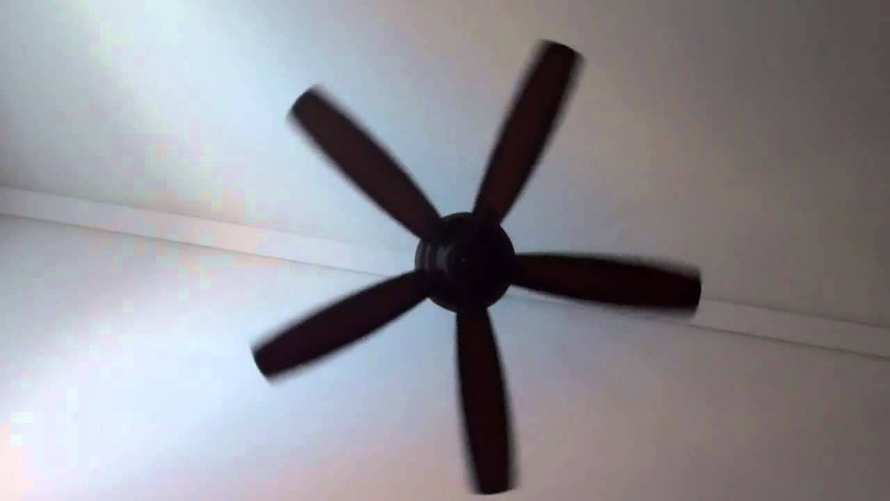 Videos For Babies Ceiling Fan within measurements 1280 X 720