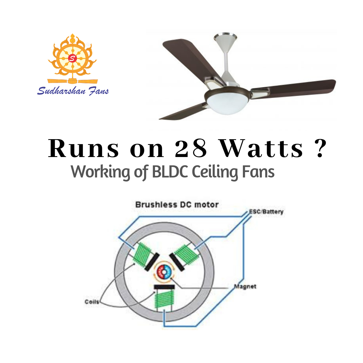 Why Bldc Ceiling Fans Consume Less Power Sudharshan Fans in sizing 1260 X 1260