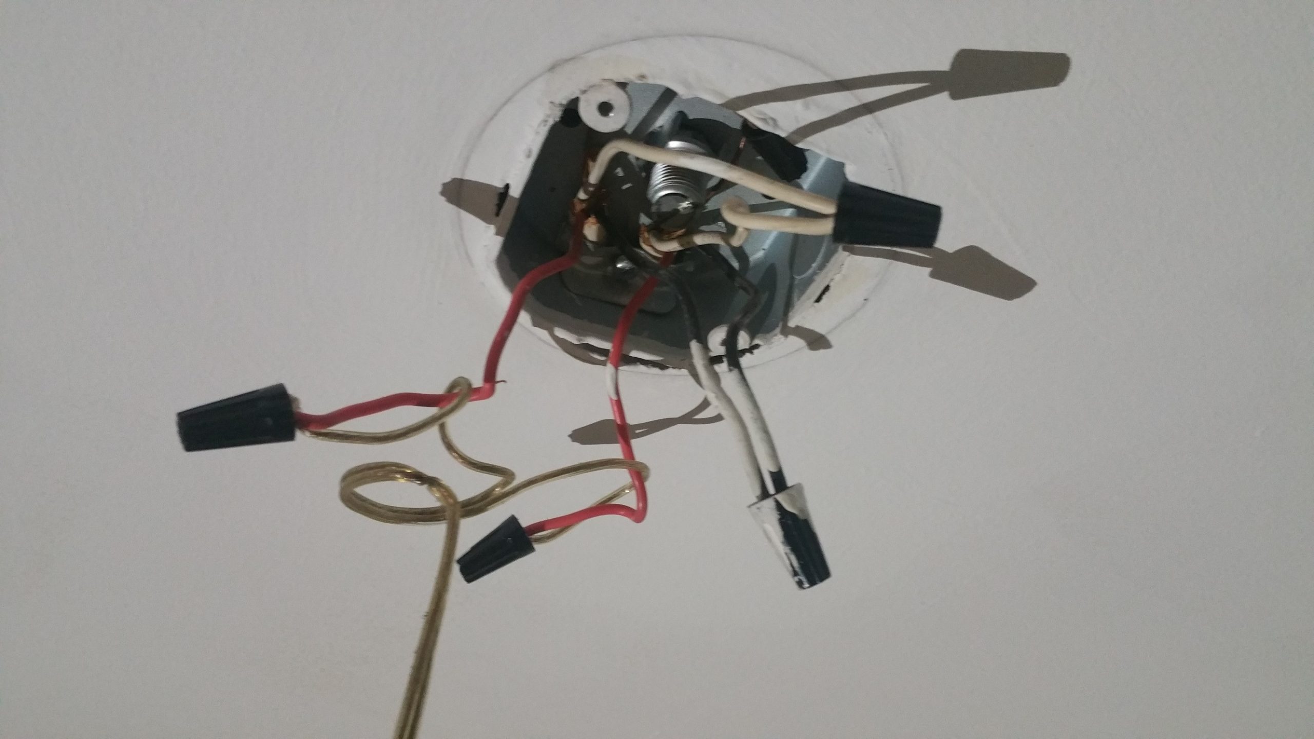 Why Is My Light Connected Between Two Red Wires On A Circuit for proportions 2656 X 1494