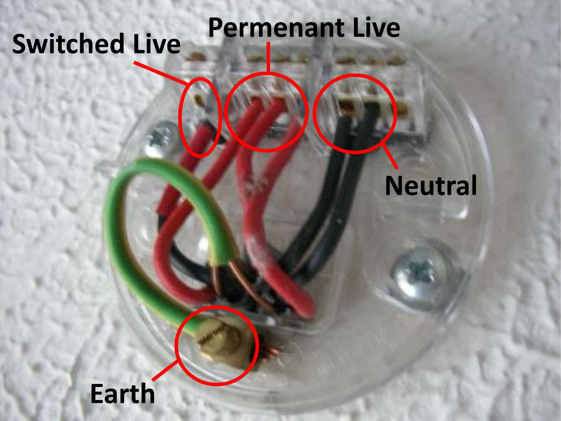 Wiring In A Ceiling Fan Fantasia Ceiling Fans in proportions 1875 X 1408